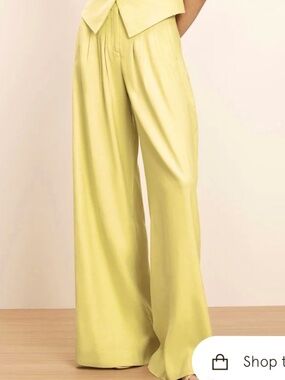 HOPE palazzo high waist belt tight suit pants